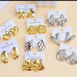 Demonstrative stainless steel earrings